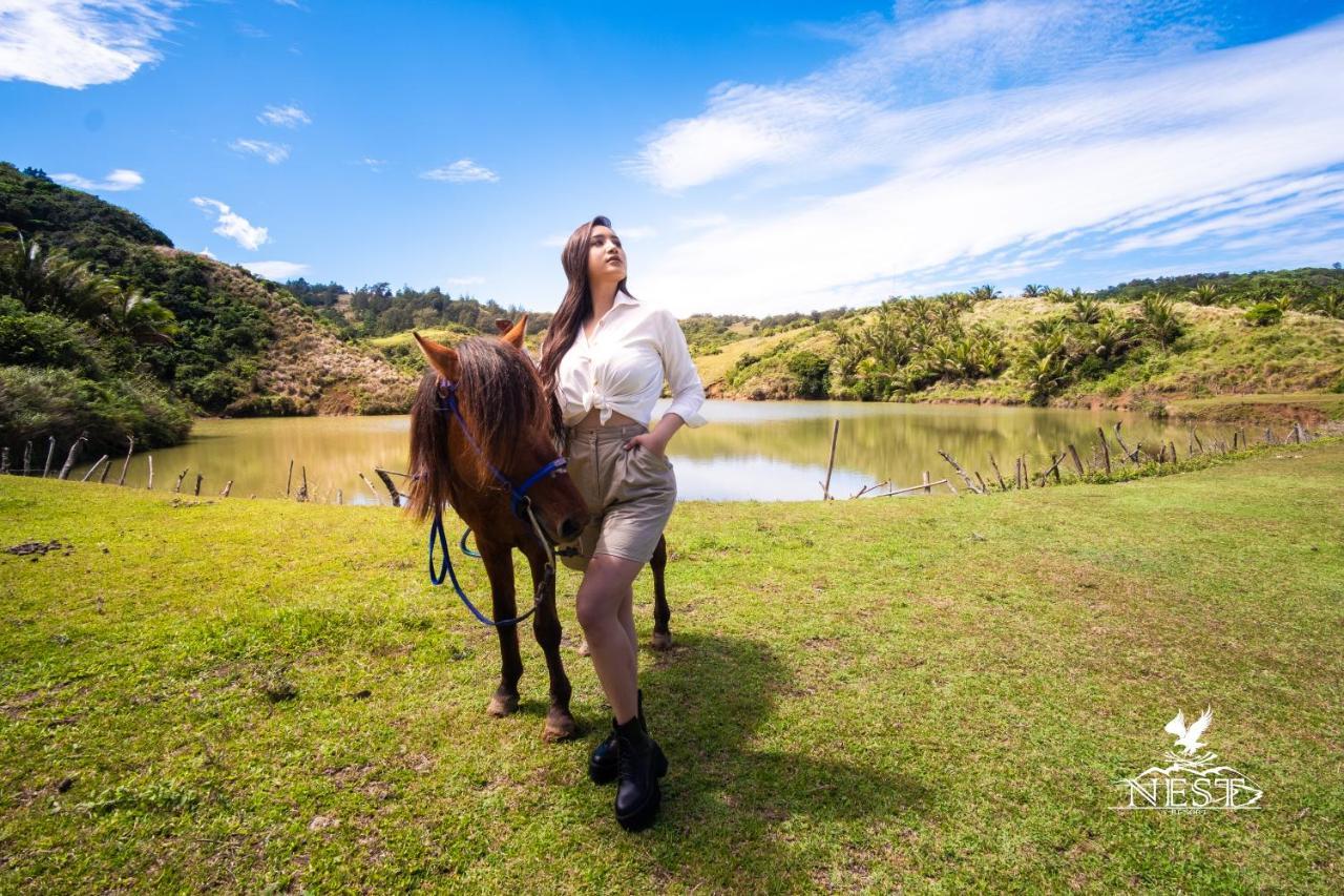 Nest Resort Pagudpud Bagian luar foto